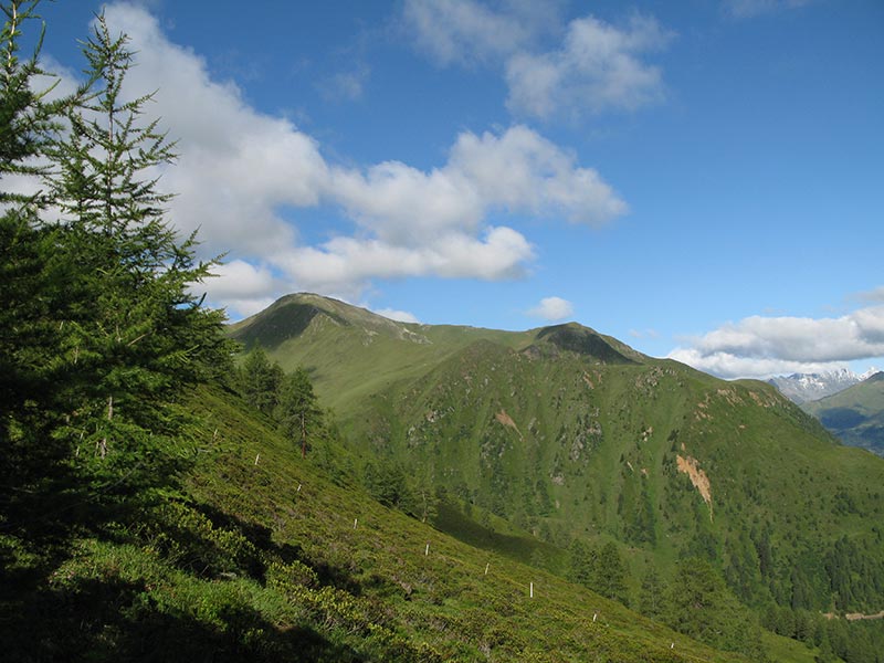 hochalmspitze